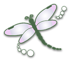 Dragonflies and Dreams logo